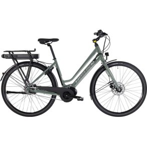 Nishiki Master E 54cm grn