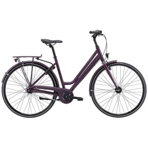 Purple Winther 1 Dame 50cm mat lilla