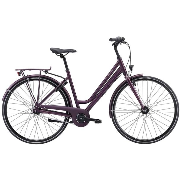 Purple Winther 1 Dame 50cm mat lilla