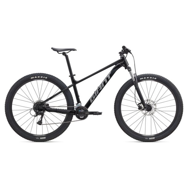 Giant Talon 3 2025 Panther
