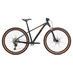 Liv Tempt 0 2025 Asphalt Green