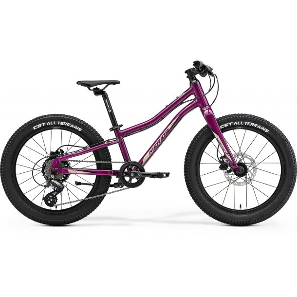 Merida Matts J.20+ Purple/Black/Champagne Unisex - b�rnecykel