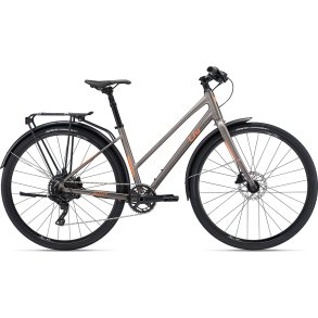 Giant Liv Alight Disc City 2 <BR>- 2023 Dame sportscykel TILBUD