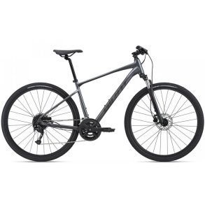 Giant Roam 2 Disc <BR>- 2021 Herre sportscykel