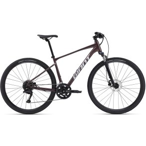 Giant Roam 2 Disc Plum <BR>- 2024 Herre sportscykel TILBUD