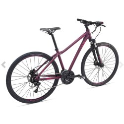 Giant Liv Rove 2 Disc <BR>- 2019 Dame sportscykel