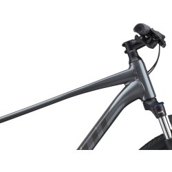 Giant Roam 2 Disc <BR>- 2021 Herre sportscykel