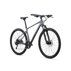 Giant Roam 2 Disc <BR>- 2021 Herre sportscykel